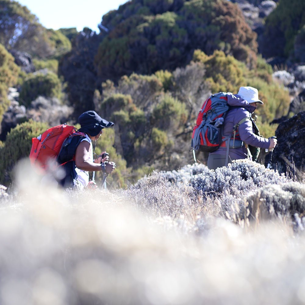 Climb Kilimanjaro