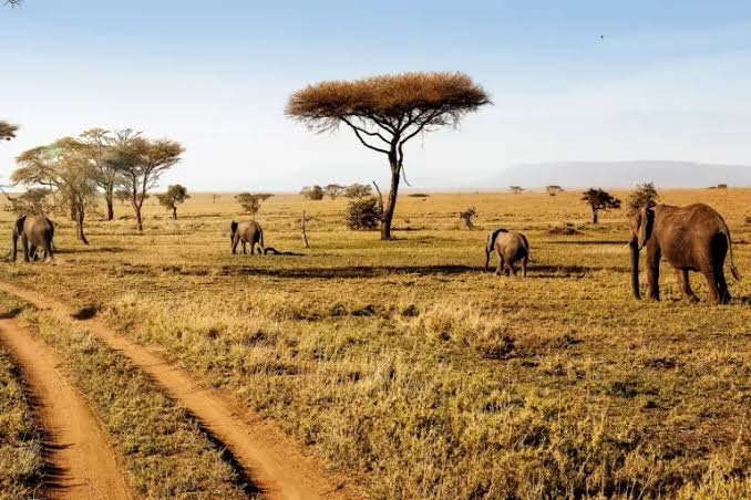 7-Day Tanzania Safari - Extended Northern Circuit