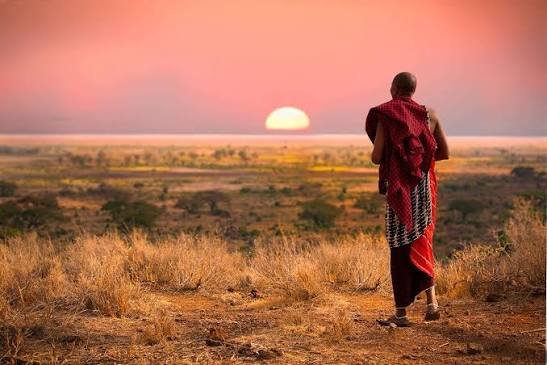 Best time for a Tanzania safari: a month-by-month guide for 2025 to 2026