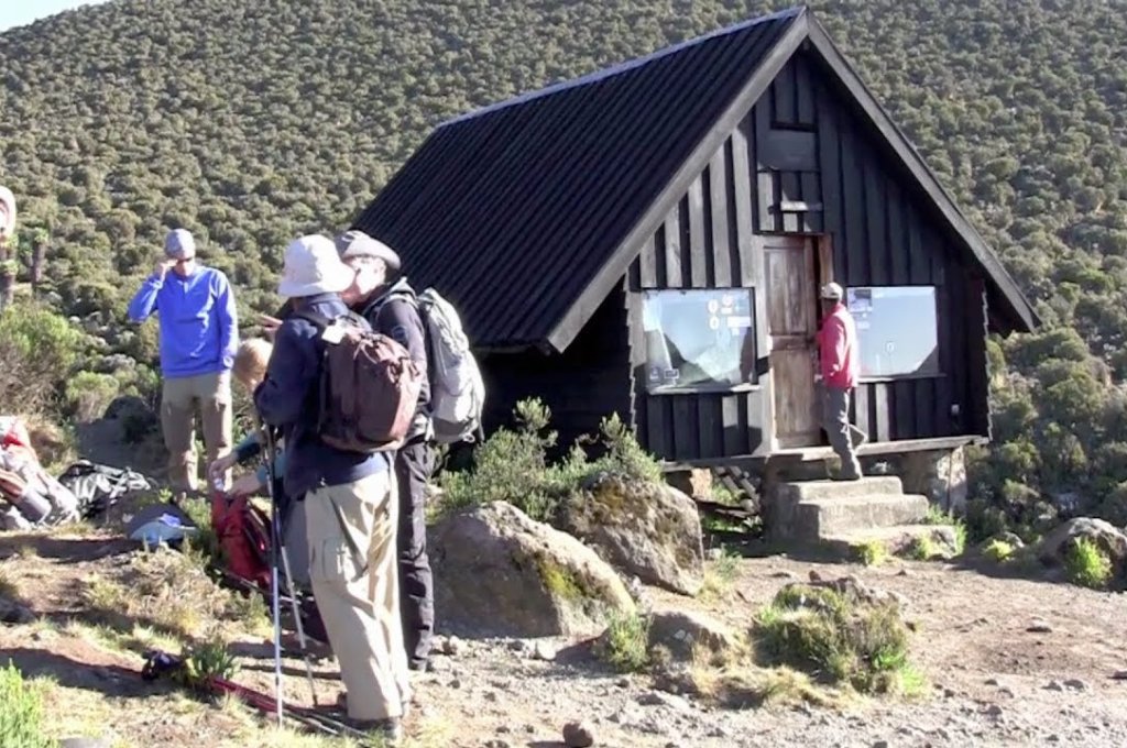 Kilimanjaro day hike: how to experience the mountain without a full climb