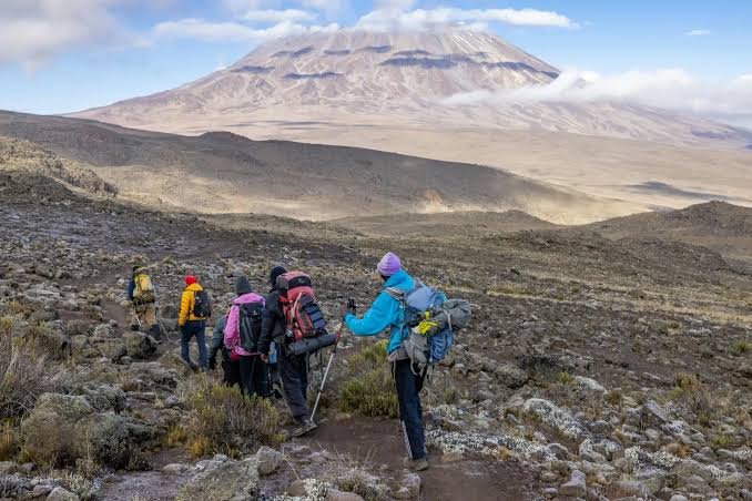 Kilimanjaro for beginners: is it really possible and what do you need to know?