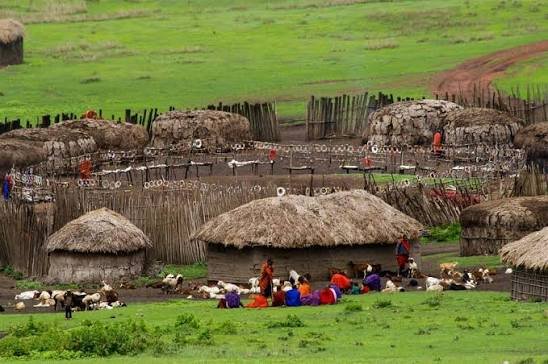 Maasai village tour near Moshi: a guide to a respectful cultural visit