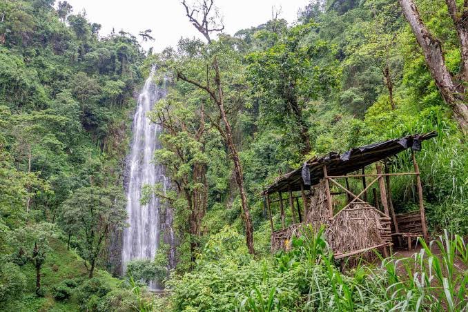 Materuni Waterfalls and Chagga Coffee Tour