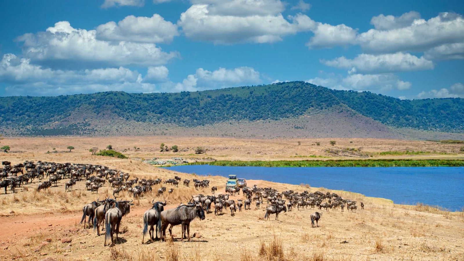 Ngorongoro Crater: everything you need to know before you visit