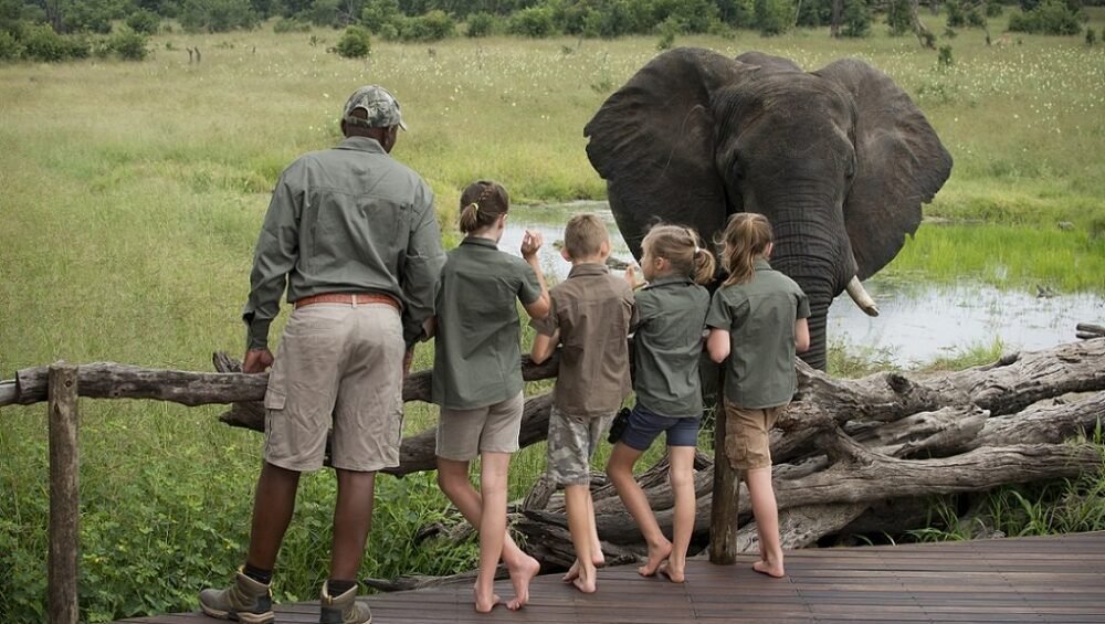 Tanzania family safari: best parks, tips and what to expect with kids