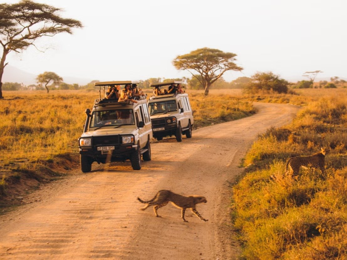 Tanzania travel guide: visas, flights, safety, costs and tips for first-timers